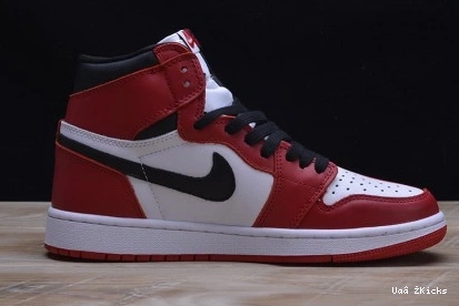 JORDAN 1 RETRO Flexible AIR 285 1106